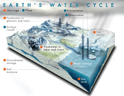 What Is the Water Cycle? | NASA Climate Kids