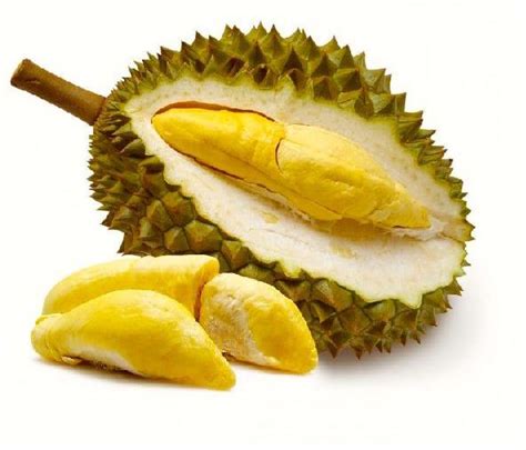 Durian Monthong fruit Buy durian monthong fruit in Ho Chi Minh Vietnam