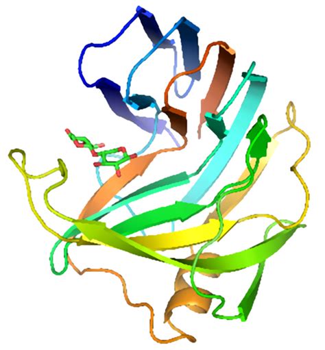 Xylanase structure