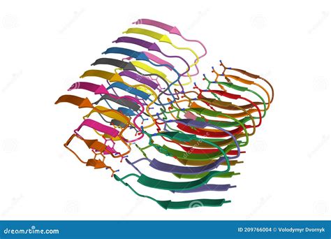 Amyloid Fibril Structure of Islet Amyloid Polypeptide Stock ...