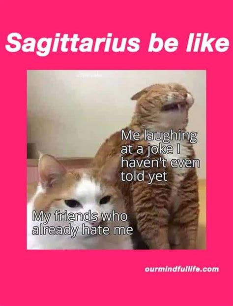 29 Funny And Relatable Sagittarius Memes That Are Basically Facts