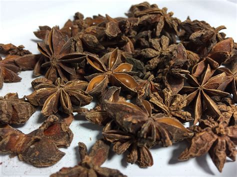 Star Anise Pods, Whole | Spice Specialist