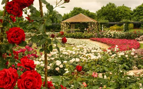 Hunter Valley Gardens: First-Timer’s Guide - Attractions | Tickets | Tips