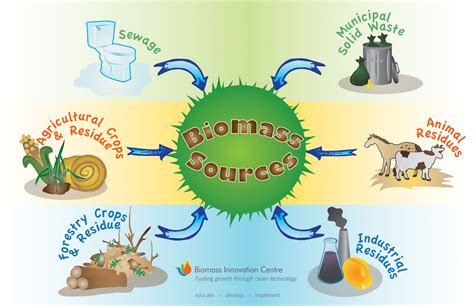 These are some other scources that biomass can come from. | Biomass ...