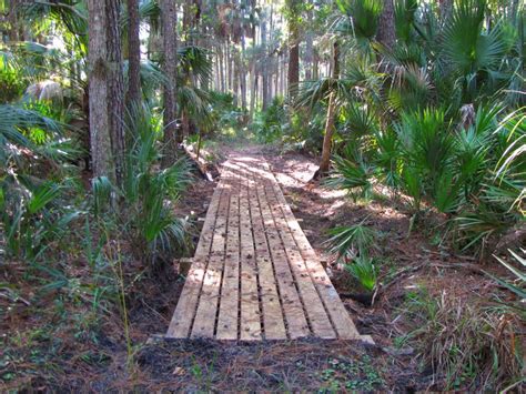 8 of the best section hikes on the florida trail – Artofit