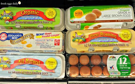 What Does Free Range Really Mean? Decoding Egg Carton Labels - Fresh ...