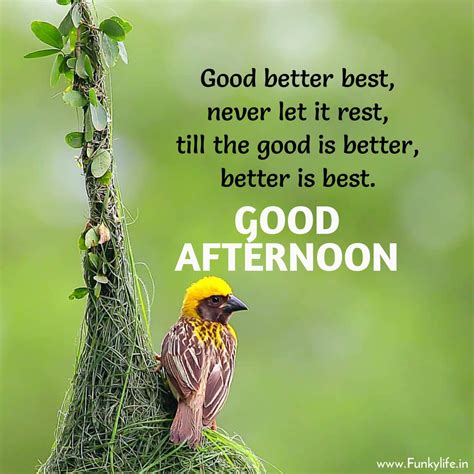 Why Do I Feel Better In The Afternoon at Kent Sosa blog