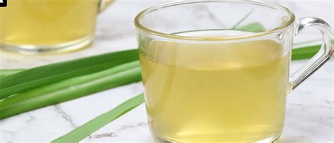 Lemongrass: Benefits | Side Effects | How to make Lemongrass tea