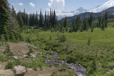 National parks, Wonderland trail, Campsite