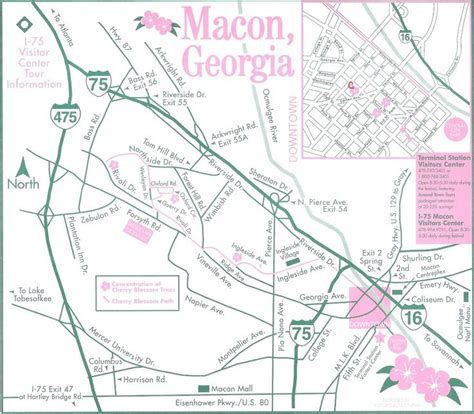 Macon Map Festivals In Georgia, Yoshino Cherry Tree, Cherry Festival ...