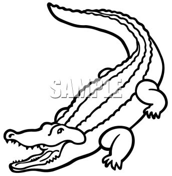 Alligator Outline Clip Art