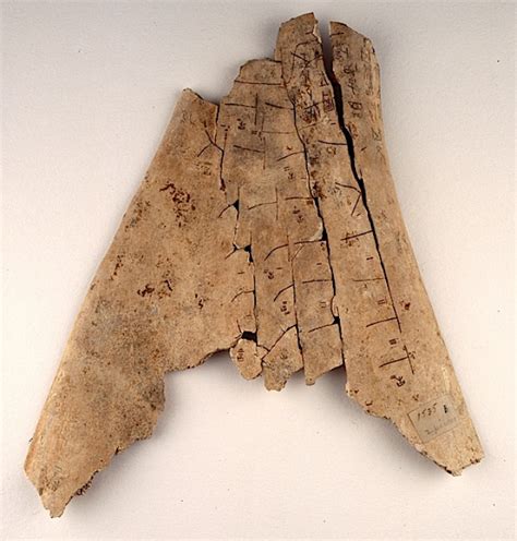 Oracle Bones: A 3,000-Year-Old Voice of the Dead