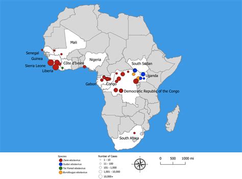 Ebolavirus Outbreaks, Past and Present