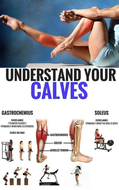 11 Calf Stretches ideas | calf stretches, calf muscles, calf exercises