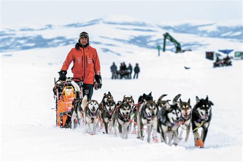 Norwegian musher wins Alaska’s Iditarod sled dog race | Homer News