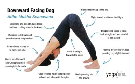 Downward Facing Dog Pose (Adho Mukha Svanasana)