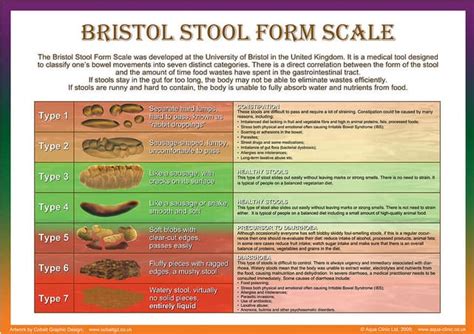 Bristol Stool Scale | Stool Diary - London Gastroenterology Centre