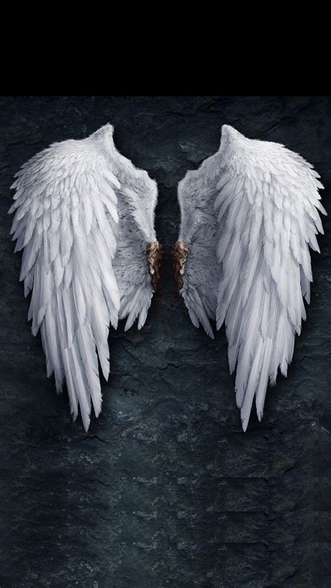 🔥 [71+] Angel Wings Wallpapers | WallpaperSafari