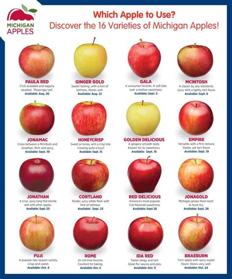 Apple Varieties