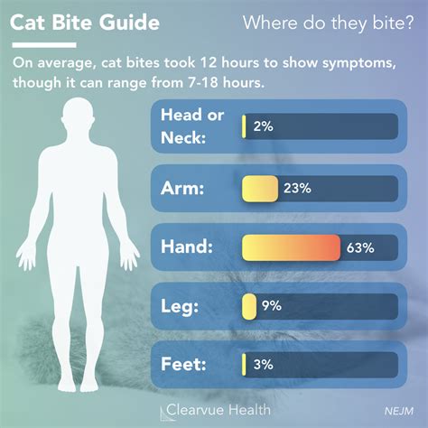 Are Cat Bites Dangerous To Dogs