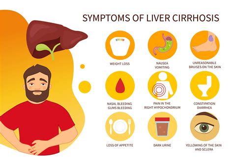 Stages Of Liver Disease