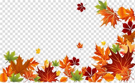 Vector Fall Leaf Border