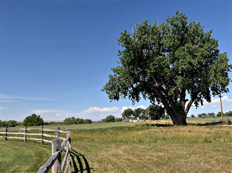 Powder River Valley Homestead | Kaycee Wyoming | Fay Ranches