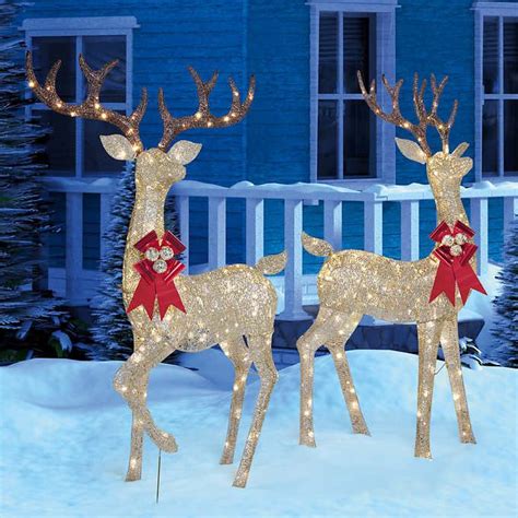 LED Lighted Deer, Set of Two | Outdoor christmas reindeer, Holiday ...