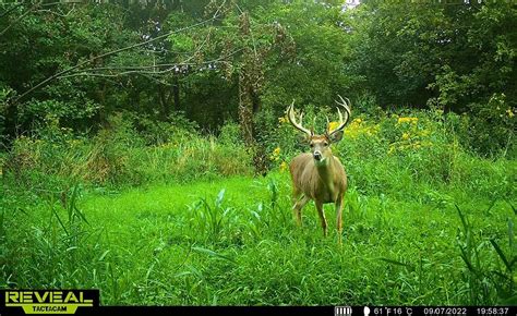 Ohio Hunter Shoots 21-Point Buck, Recovers It with His Foot - Realtree Camo