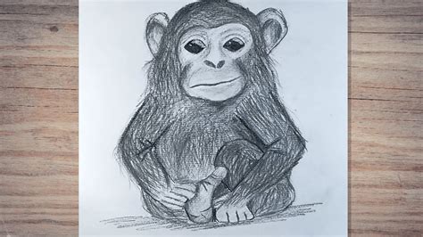 Realistic Monkey Drawing