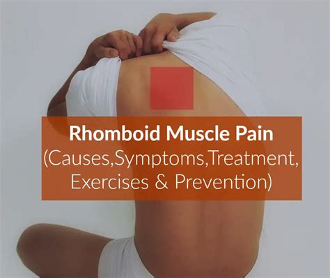 Rhomboid Muscle Pain (Causes,Symptoms,Treatment-Relief,Exercises ...