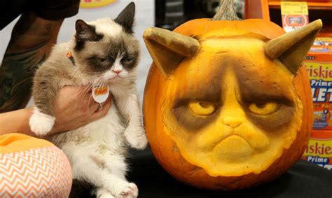 Grumpy Cat | Cat pumpkin, Cat face pumpkin, Cat pumpkin stencil