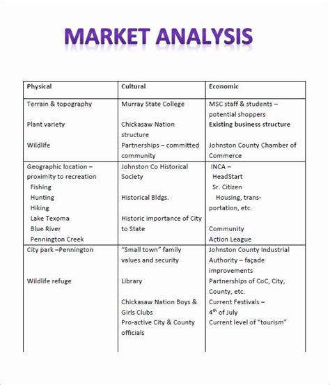 Business Analysis Plan Template Beautiful Free 17 Market Analysis In ...