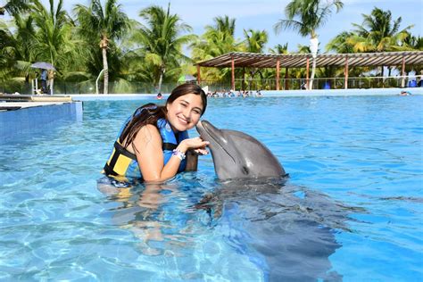 8 Recommendations Before Swimming with Dolphins in Cancun