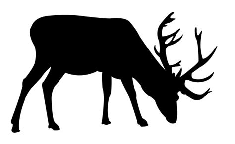 Deer Grazing Free DXF Vectors File | Vectors File