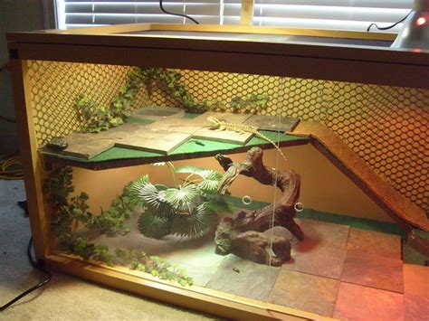 DIY bearded dragon habitat Bearded Dragon Terrarium Ideas, Bearded ...