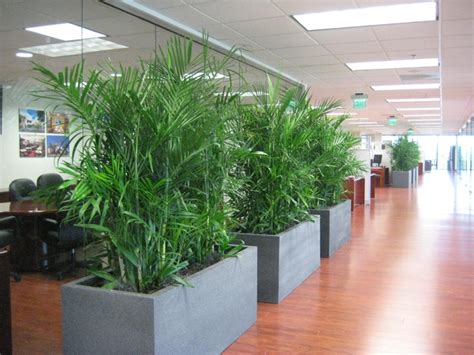 Design your office with beautiful Interior plants | by Inscape Indoor ...