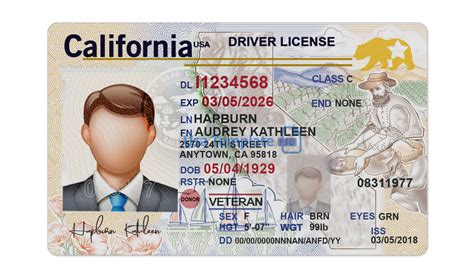 California Drivers License Template Psd Free Download Web Web Find ...