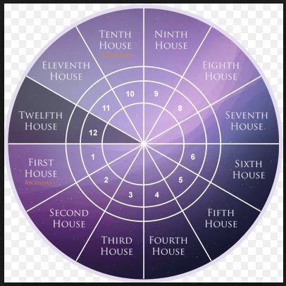 12th house astrology - acetopark