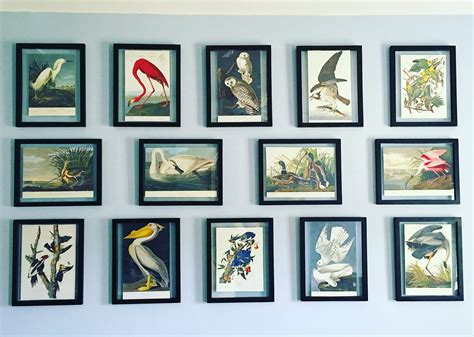 Gallery wall: framed Audubon bird prints Vorzimmer, Deko, Vogel ...