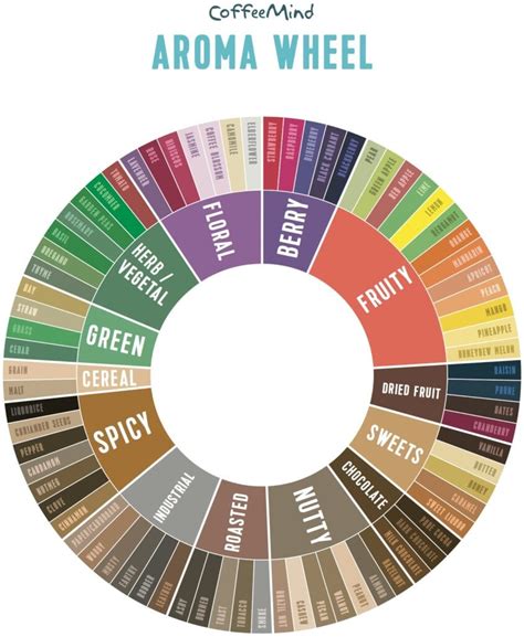 CoffeeMind Aroma Wheel – CoffeeMind