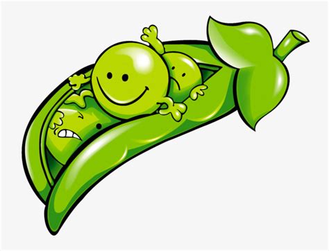 pea seed cartoon - Clip Art Library