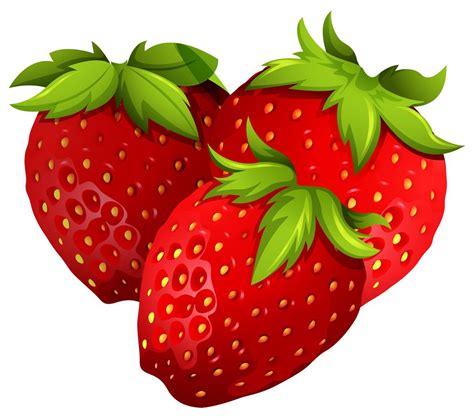 Fresh strawberries on white background 301772 Vector Art at Vecteezy