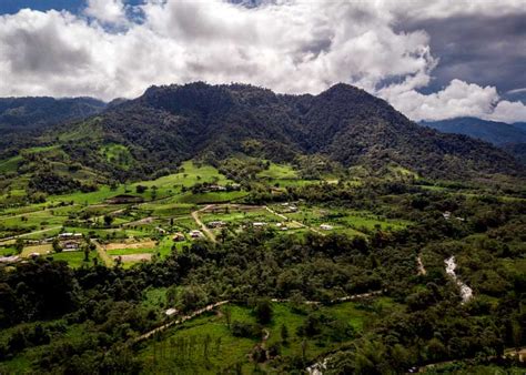 Ecuador's Cloud Forests: 13 Things to Know (Travelers Guide ...