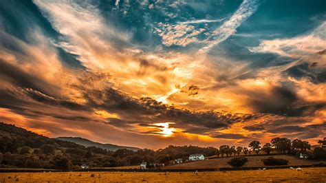 Sunset Sky Clouds Field Trees Horizon 4K HD Wallpapers | HD Wallpapers ...