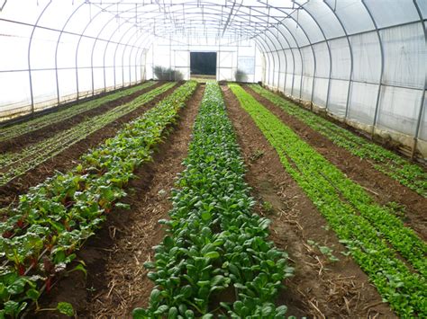 Dealing With Irrigation On A Small Vegetable Farm – Available Ideas