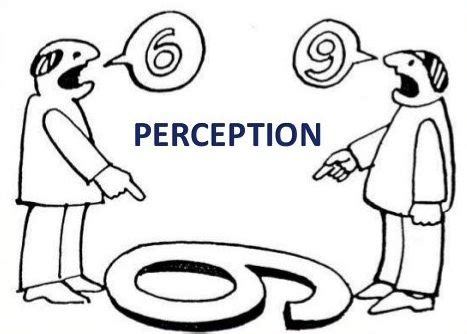 Perception is NOT Reality - Dr. Jim Taylor