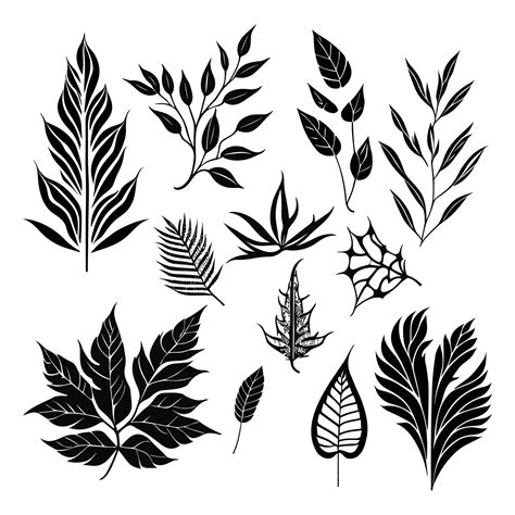 silhouette leaf set vectors. 27728660 Vector Art at Vecteezy