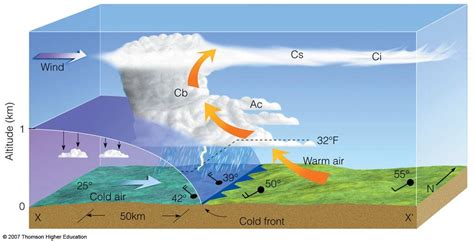 Along a front, which type of air is always forced upward? | Socratic