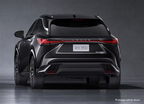 2023 Lexus RX 350 Release Date, Specs, Price, And More!